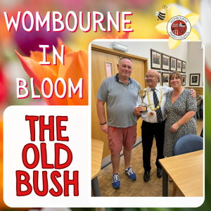 Wombourne in Bloom Trophy